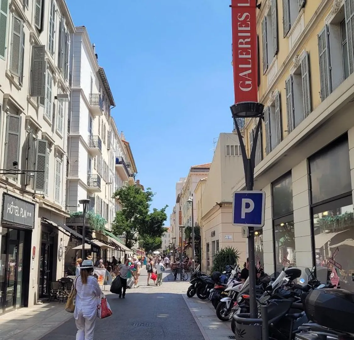 Location Vacances T3 A Cannes Appartement